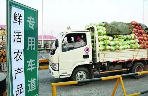 大兄弟 你還在拉綠通貨物嗎